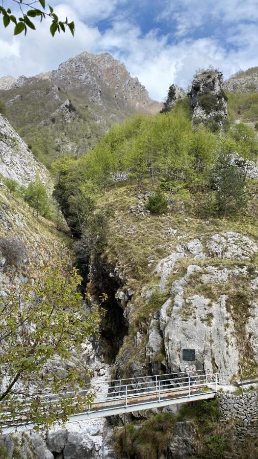 B&B Gronda Via Vandelli Μάσσα Εξωτερικό φωτογραφία